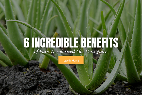 6 Incredible Benefits of Pure Decolorized Aloe Vera Juice