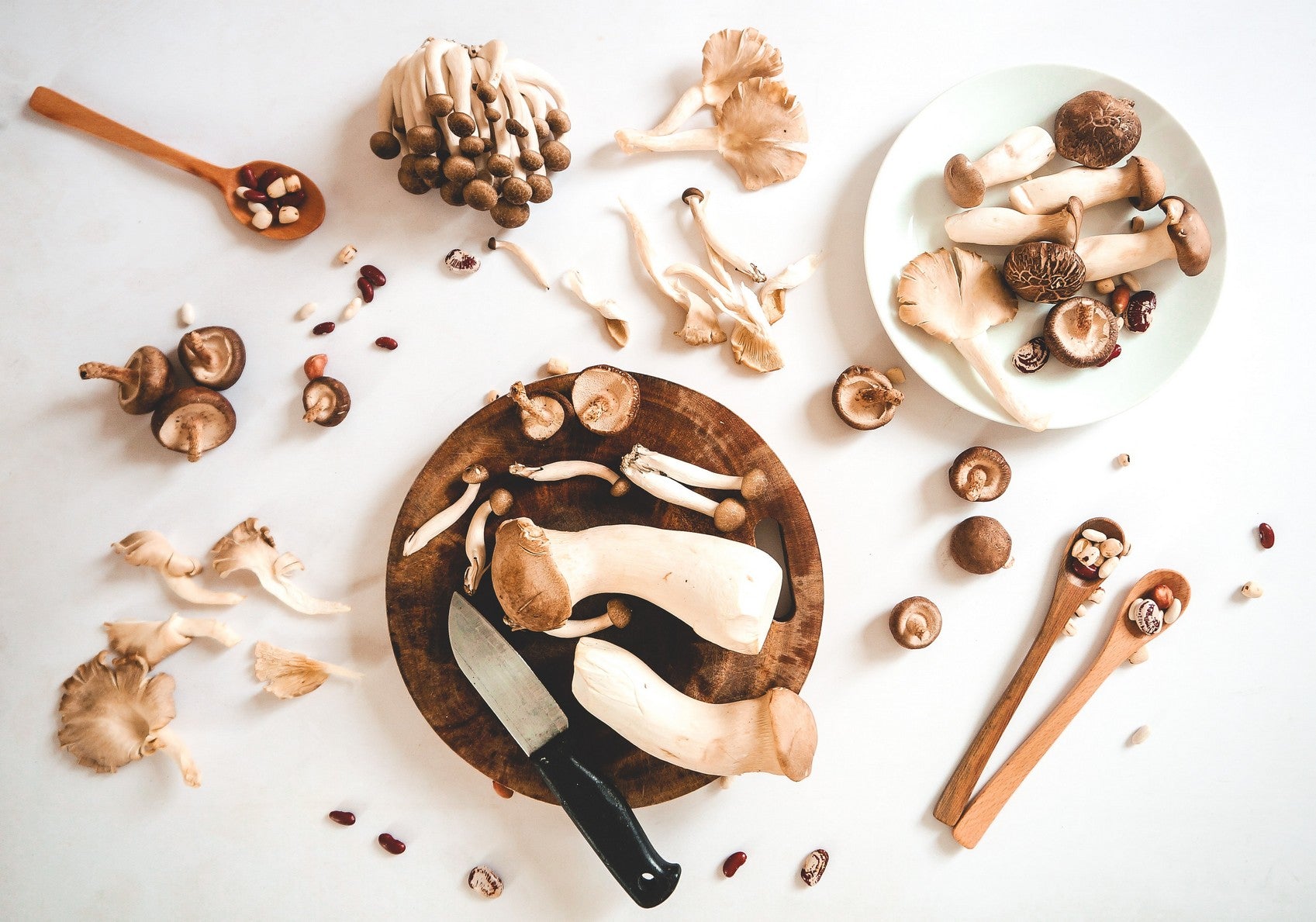 health and nutritional mushroom benefits