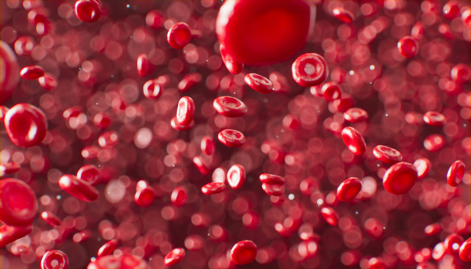 blood cells low bilirubin levels adults