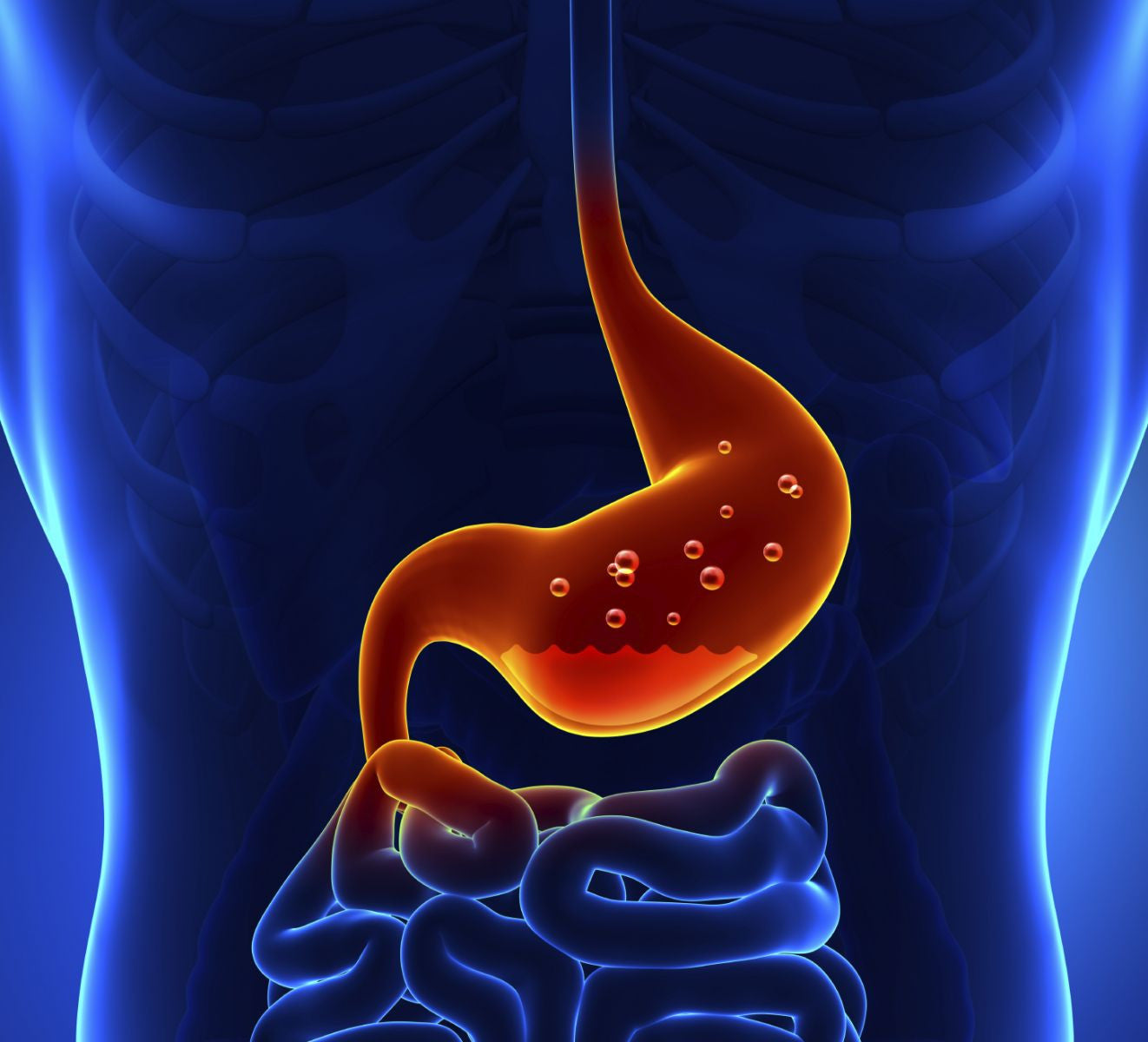 stomach acid causes heartburn