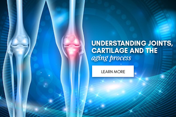 painful knee joint osteoarthritis